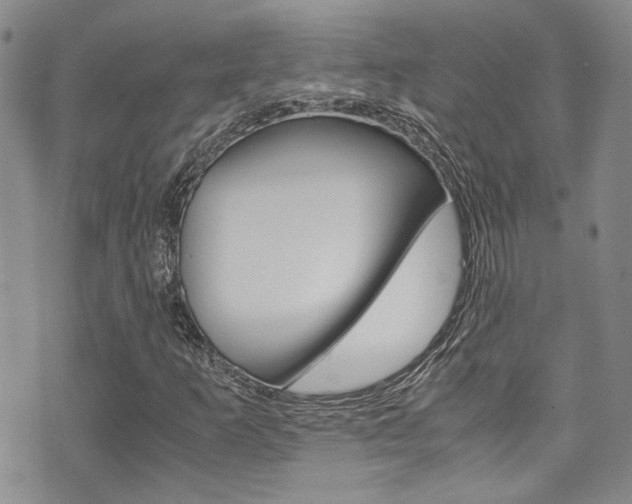 X0000075821253200609150854