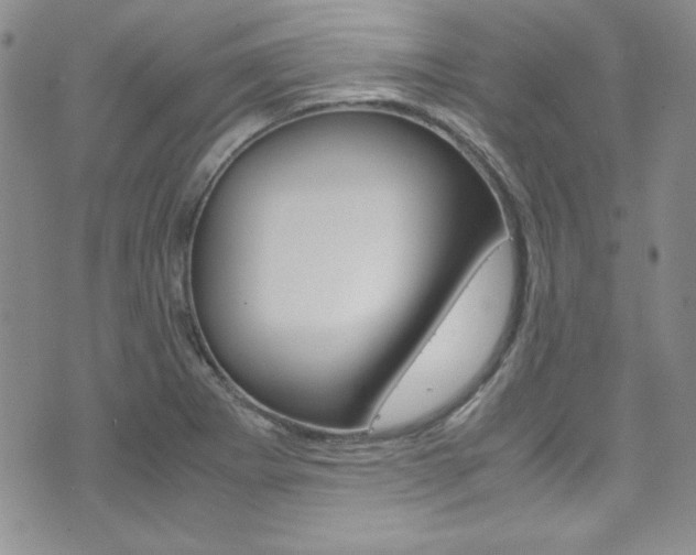 X0000075821273200609150853