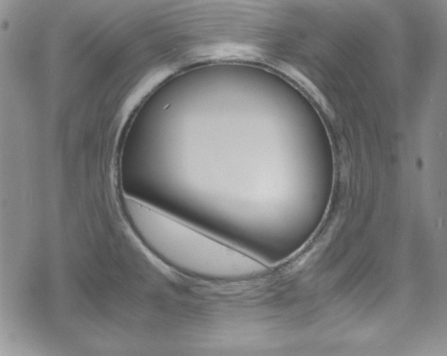 X0000075821285200609150853