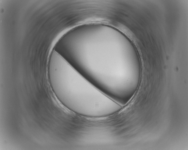 X0000075821296200609150853