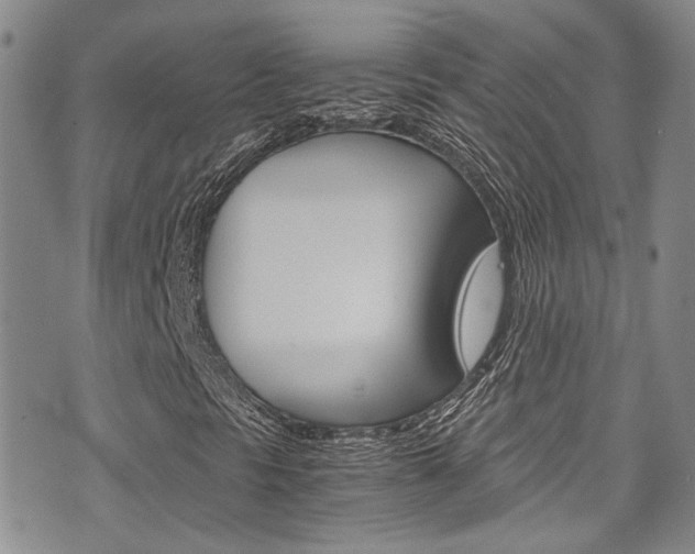 X0000075821297200609150852