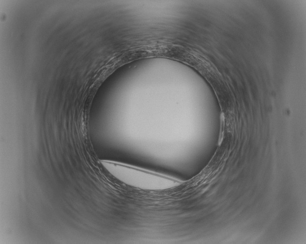 X0000075821298200609150852