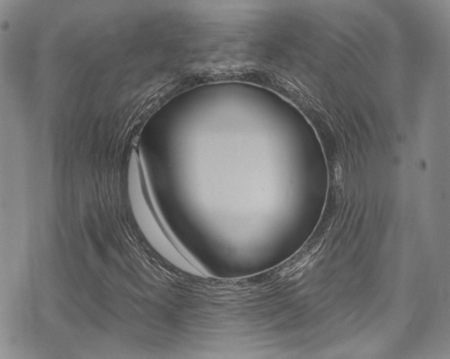 X0000075821300200609150852