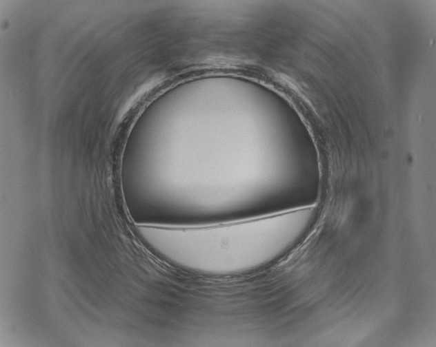 X0000075821307200609150852