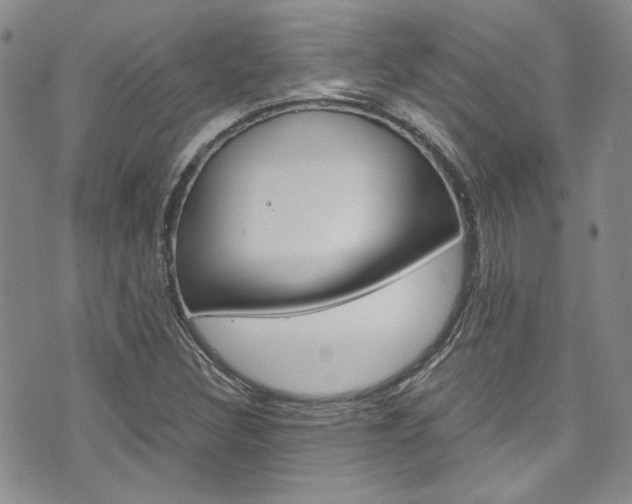 X0000075821308200609150852