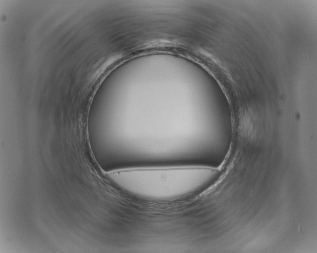 X0000075821313200609150853
