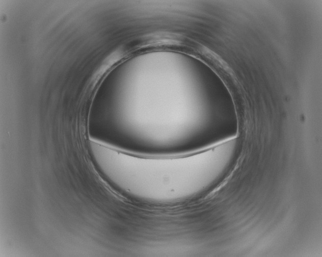 X0000075821321200609150853