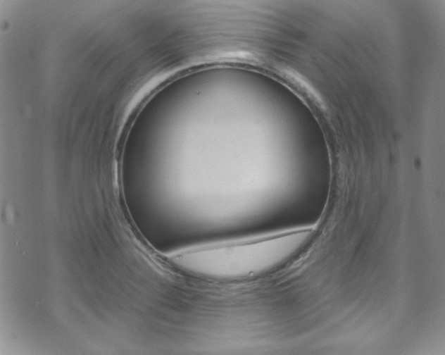 X0000075821324200609150853