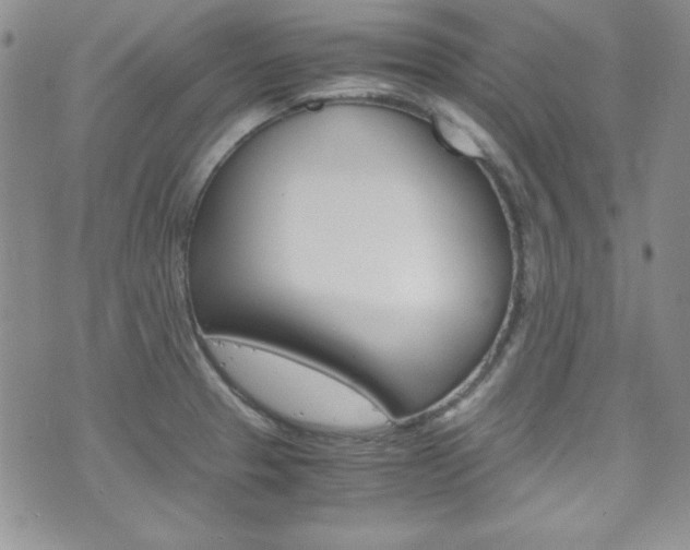 X0000075821329200609150853