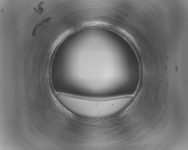 X0000075821330200609150853