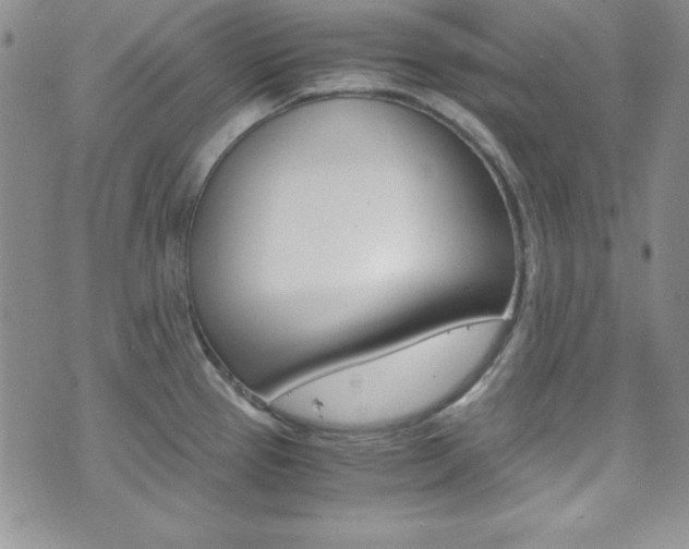 X0000075821337200609150853