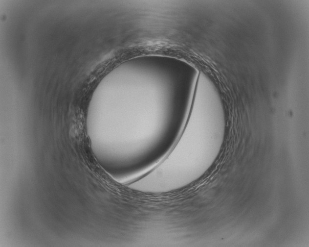 X0000075821349200609150852