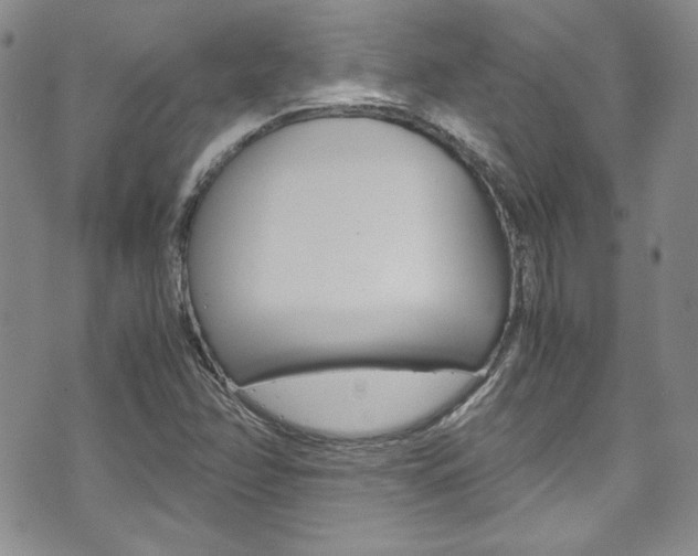 X0000075821358200609150852