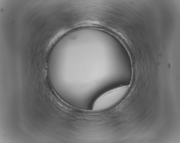 X0000075821363200609150852