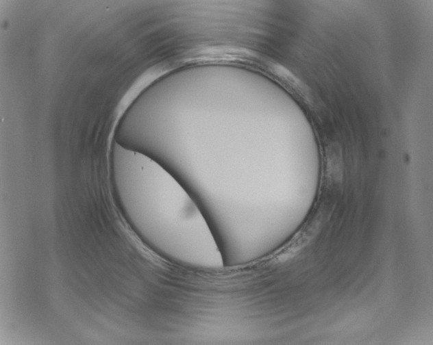X0000075821370200609150852