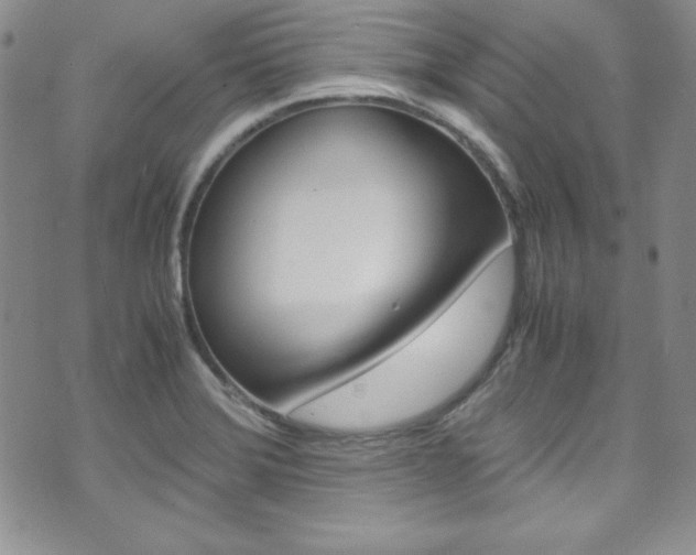 X0000075821372200609150852