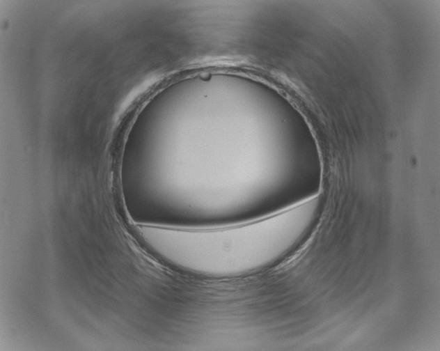 X0000075821406200609150851