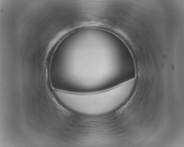 X0000075821414200609150851