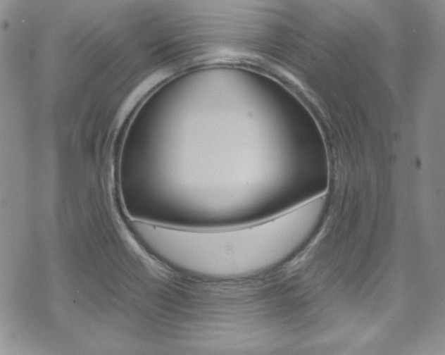 X0000075821418200609150851