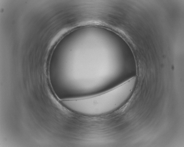 X0000075821422200609150851