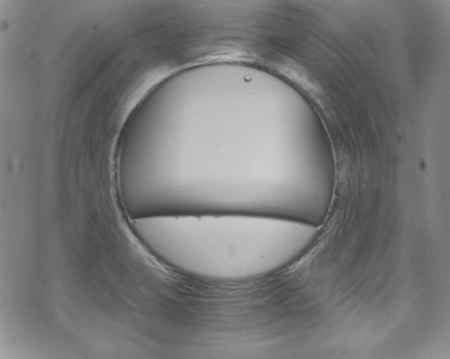X0000075821423200609150851