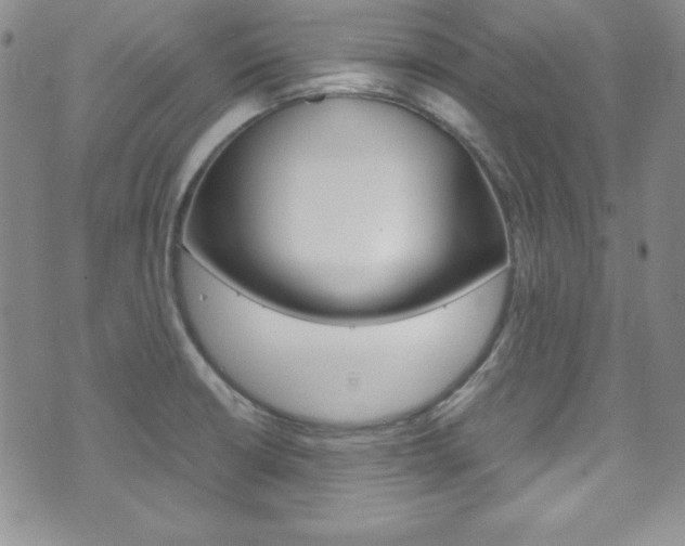 X0000075821426200609150851