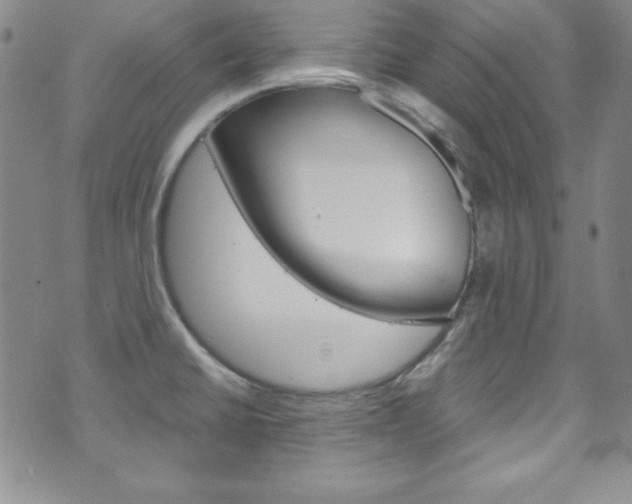 X0000075821430200609150851