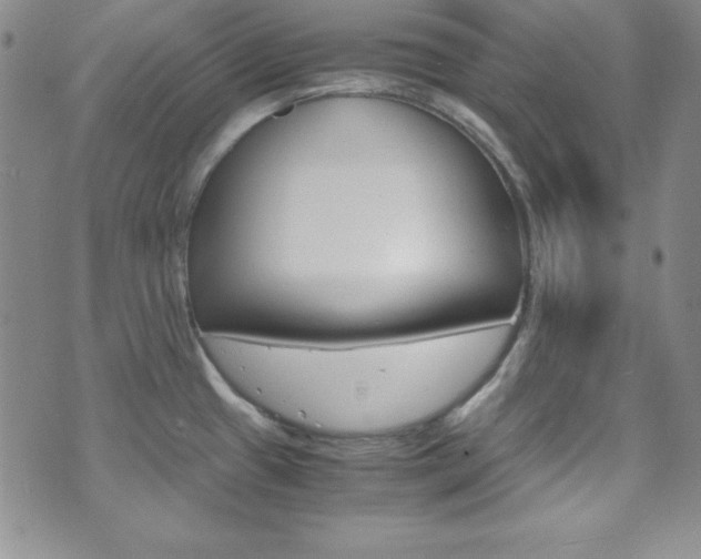 X0000075821433200609150851