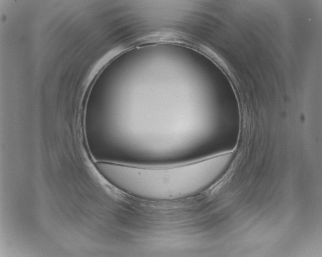 X0000075821434200609150851