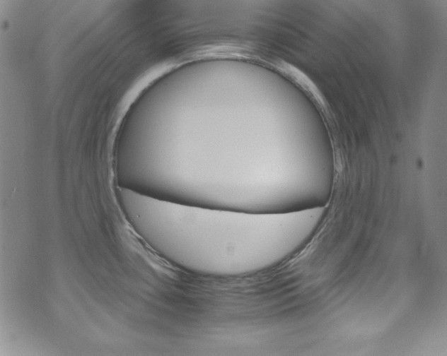X0000075821435200609150851