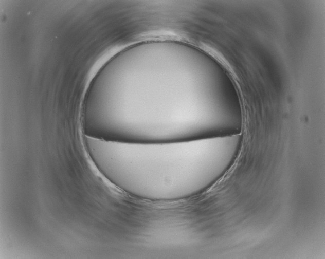X0000075821440200609150851