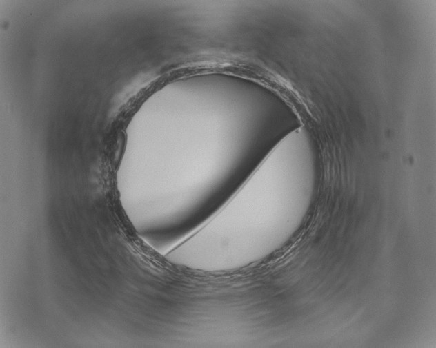 X0000075821448200609150851