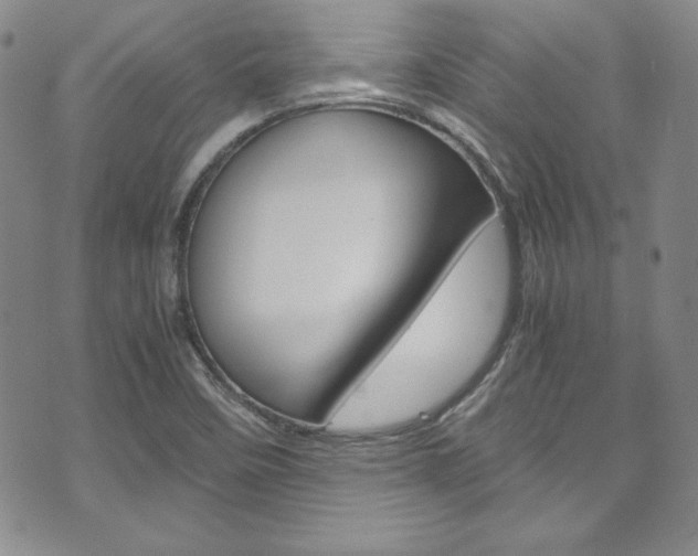 X0000075821458200609150850