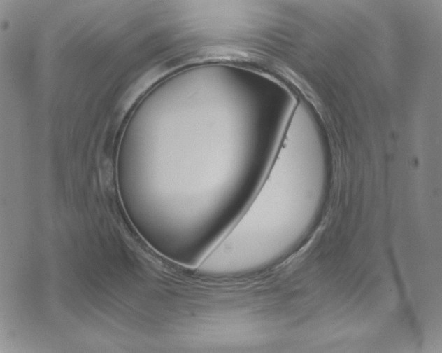 X0000075821465200609150850