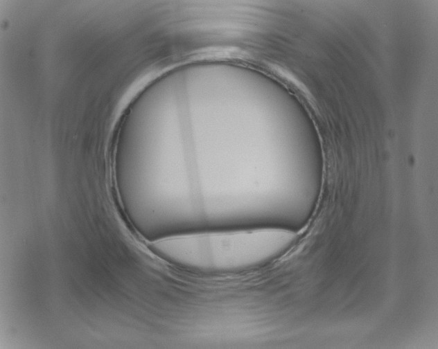 X0000075821467200609150850