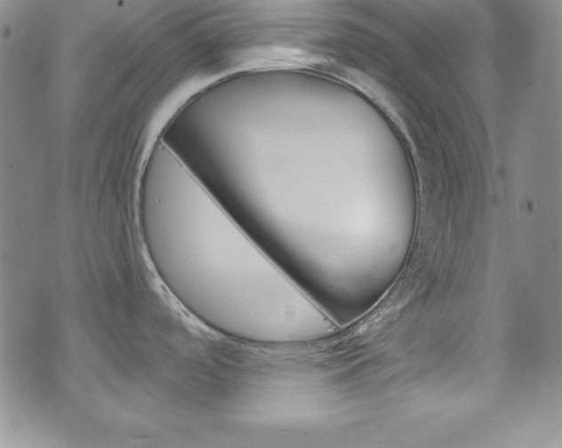 X0000075821488200609150850