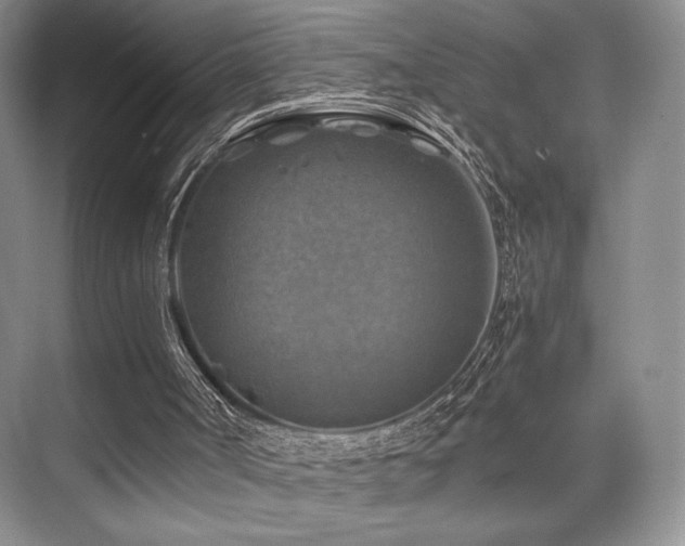 X0000075820002200609151224