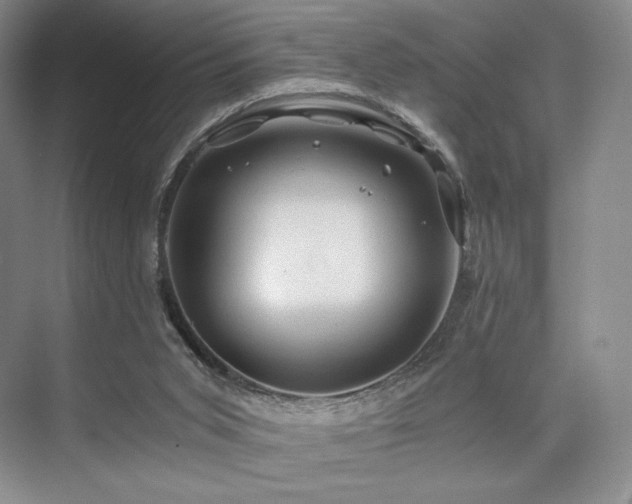 X0000075820015200609151224