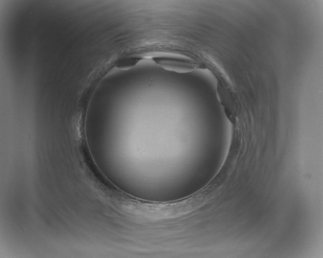 X0000075820023200609151224