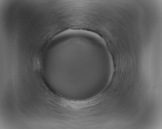 X0000075820039200609151224