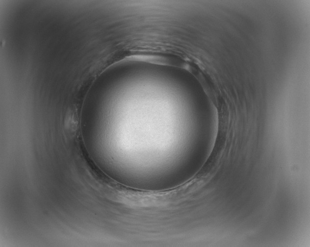 X0000075820040200609151224