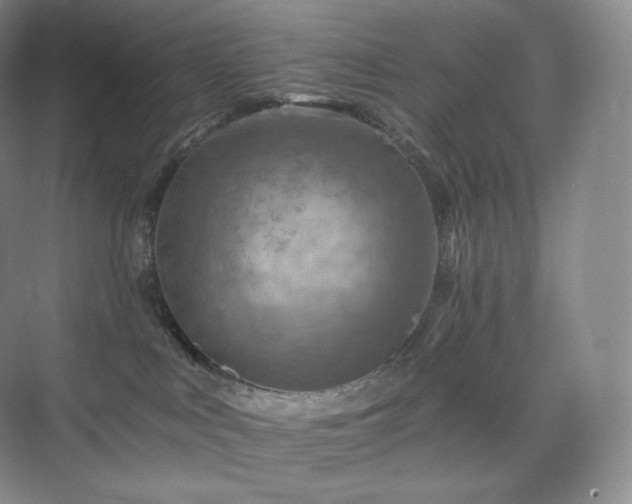 X0000075820043200609151224
