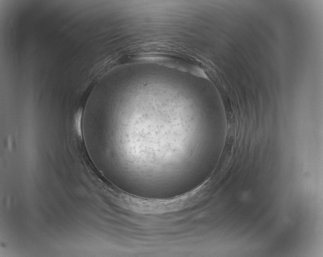 X0000075820047200609151224
