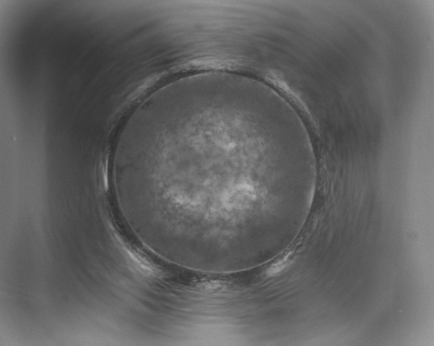 X0000075820062200609151223