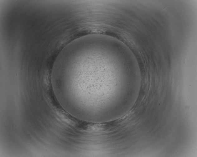 X0000075820078200609151223