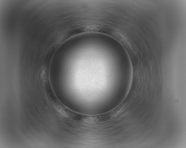 X0000075820079200609151223