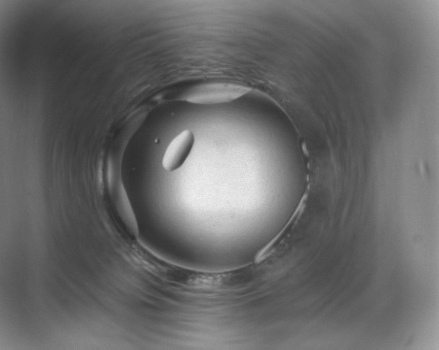 X0000075820084200609151223