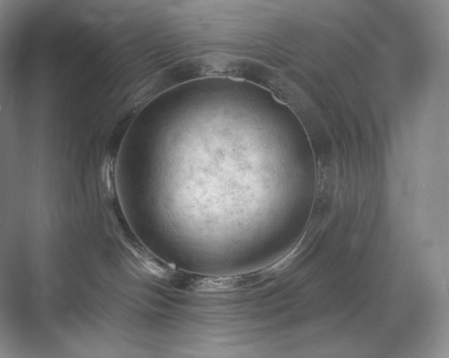X0000075820094200609151224