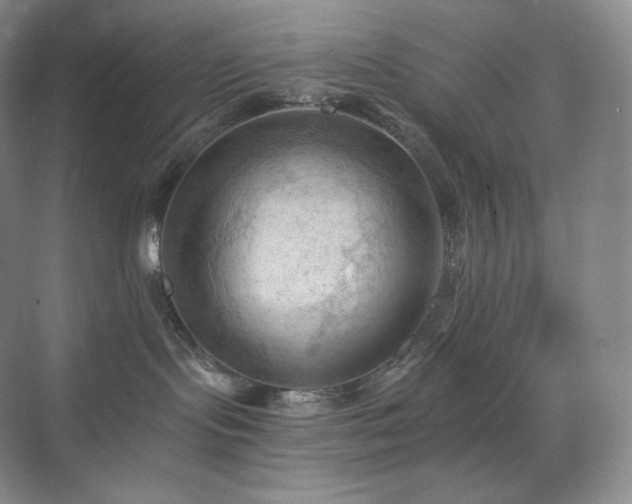 X0000075820095200609151224