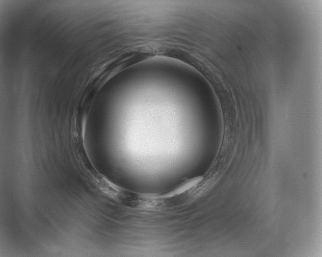 X0000075820096200609151224